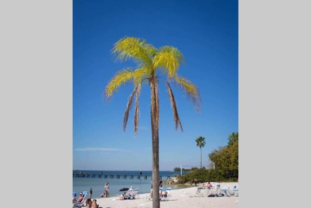 Riverview, Studio 507, Beach Steps Away!+Pool+Wifi Ръскин Екстериор снимка