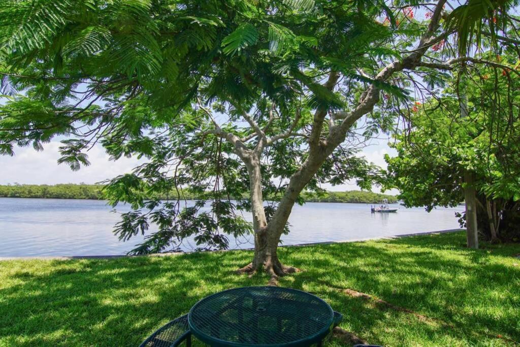 Riverview, Studio 507, Beach Steps Away!+Pool+Wifi Ръскин Екстериор снимка